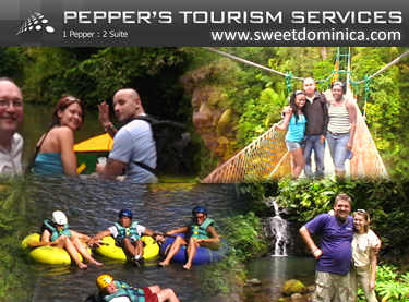 Pepper's Taxi & Private Tours and Accommodations